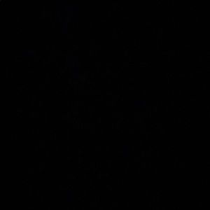 Meet your Posher, Candice